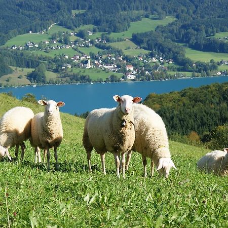 Biobauernhof Nussbaumer Nussdorf am Attersee Extérieur photo