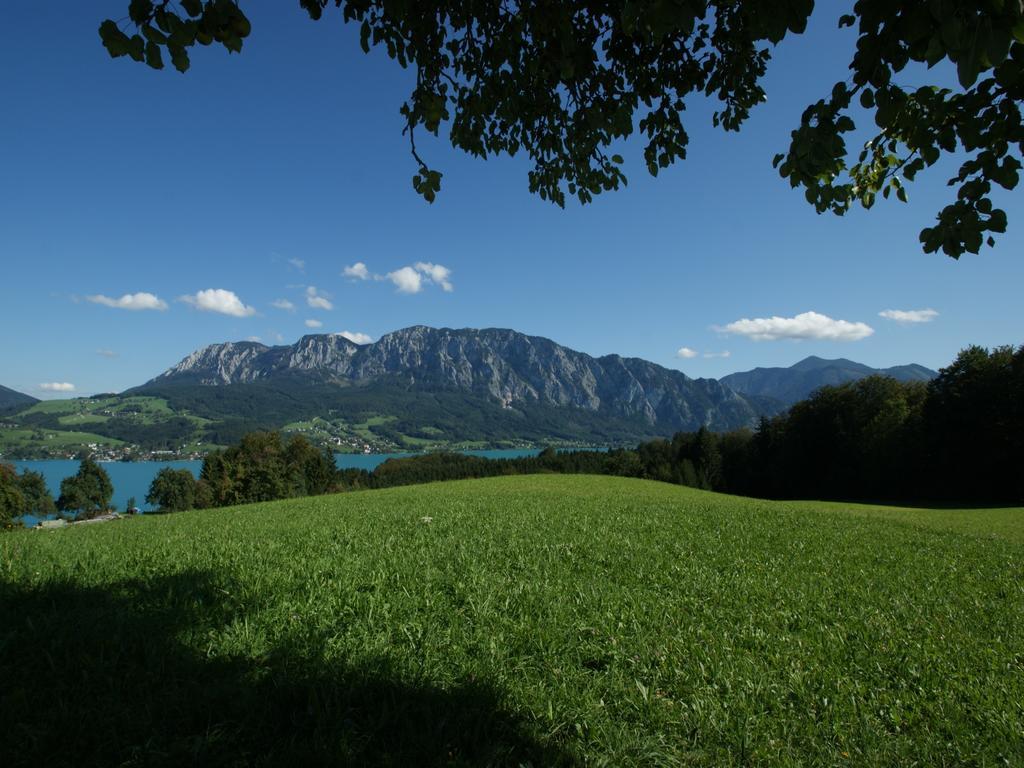 Biobauernhof Nussbaumer Nussdorf am Attersee Extérieur photo